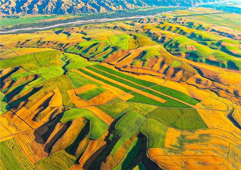 �½����伯�徭Ӫ�Խ����õ������Ե㹤���չ�