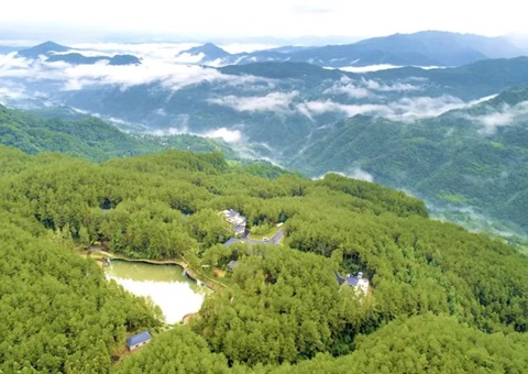 �Ĵ������Ե�����ֵعɷ��쾭Ӫģʽ